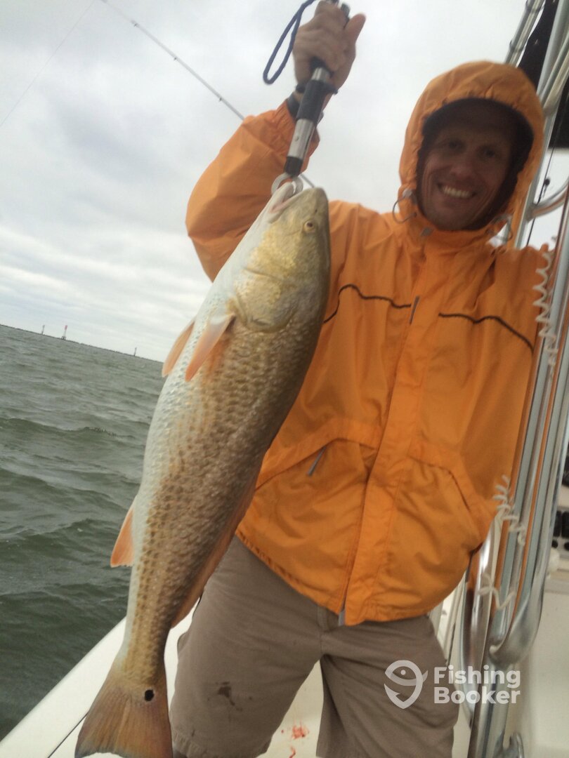 Venice Report Photo 0