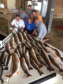 Venice Report Photo 2