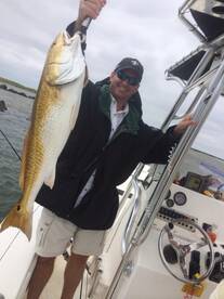 Venice Report Photo 1