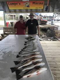 Wind, wind and more wind