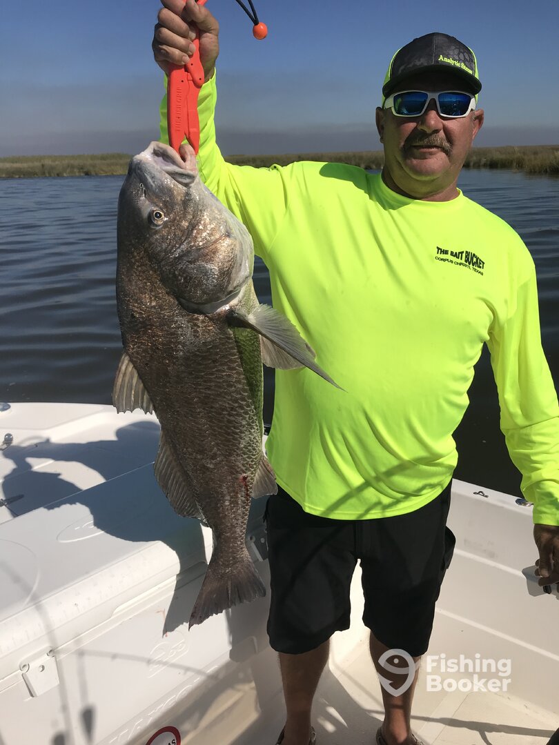 St. Bernard Report Photo 0