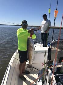 St. Bernard Report Photo 2