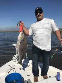 St. Bernard Report Photo 1