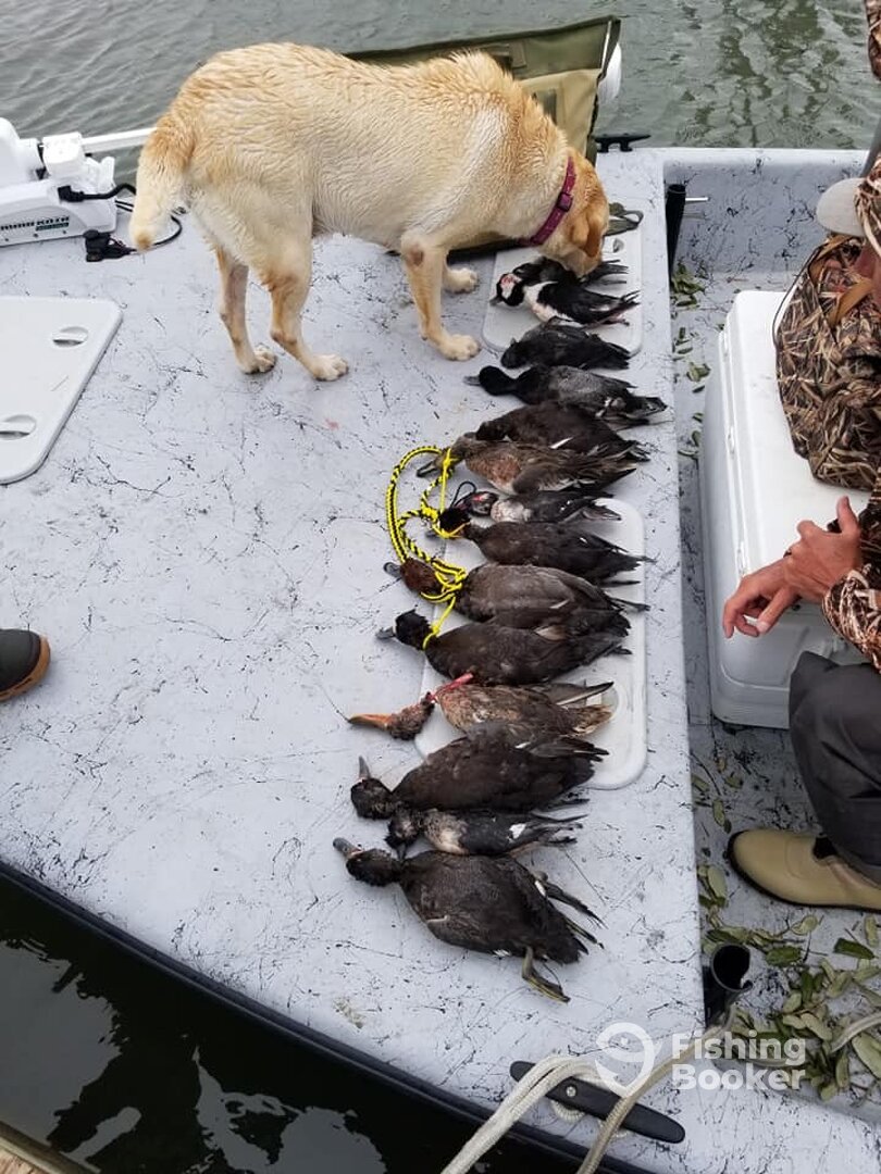 Aransas Pass Report Photo 0