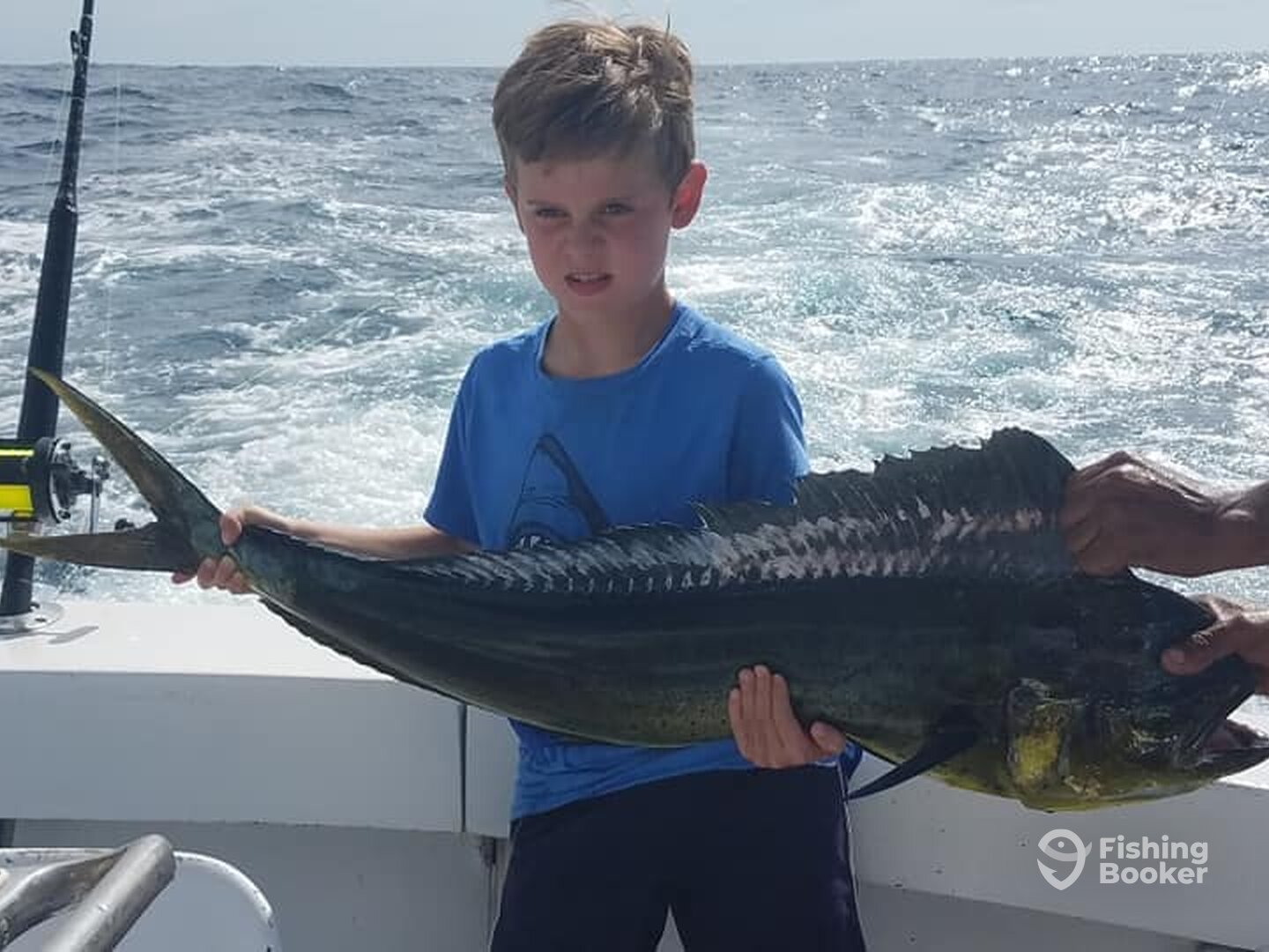 Tamarindo Report Photo 0