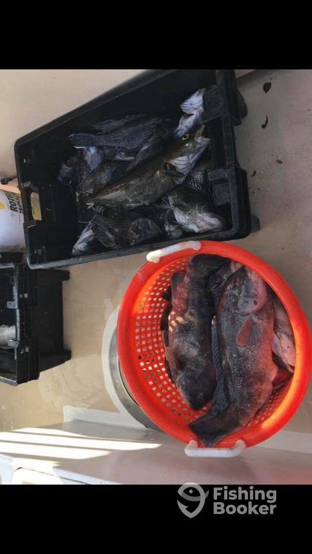 Montauk Report Photo 0