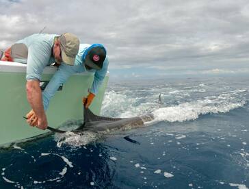 Quepos Report Photo 2