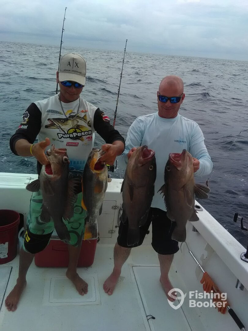 Herradura Report Photo 0