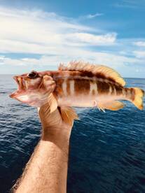 Canary Islands Report Photo 2