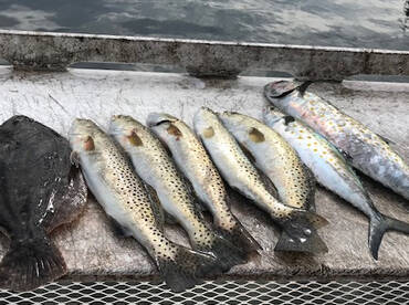 Inshore fishing is on fire!