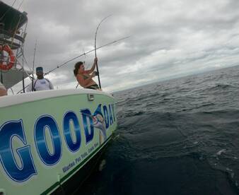 Quepos Report Photo 2