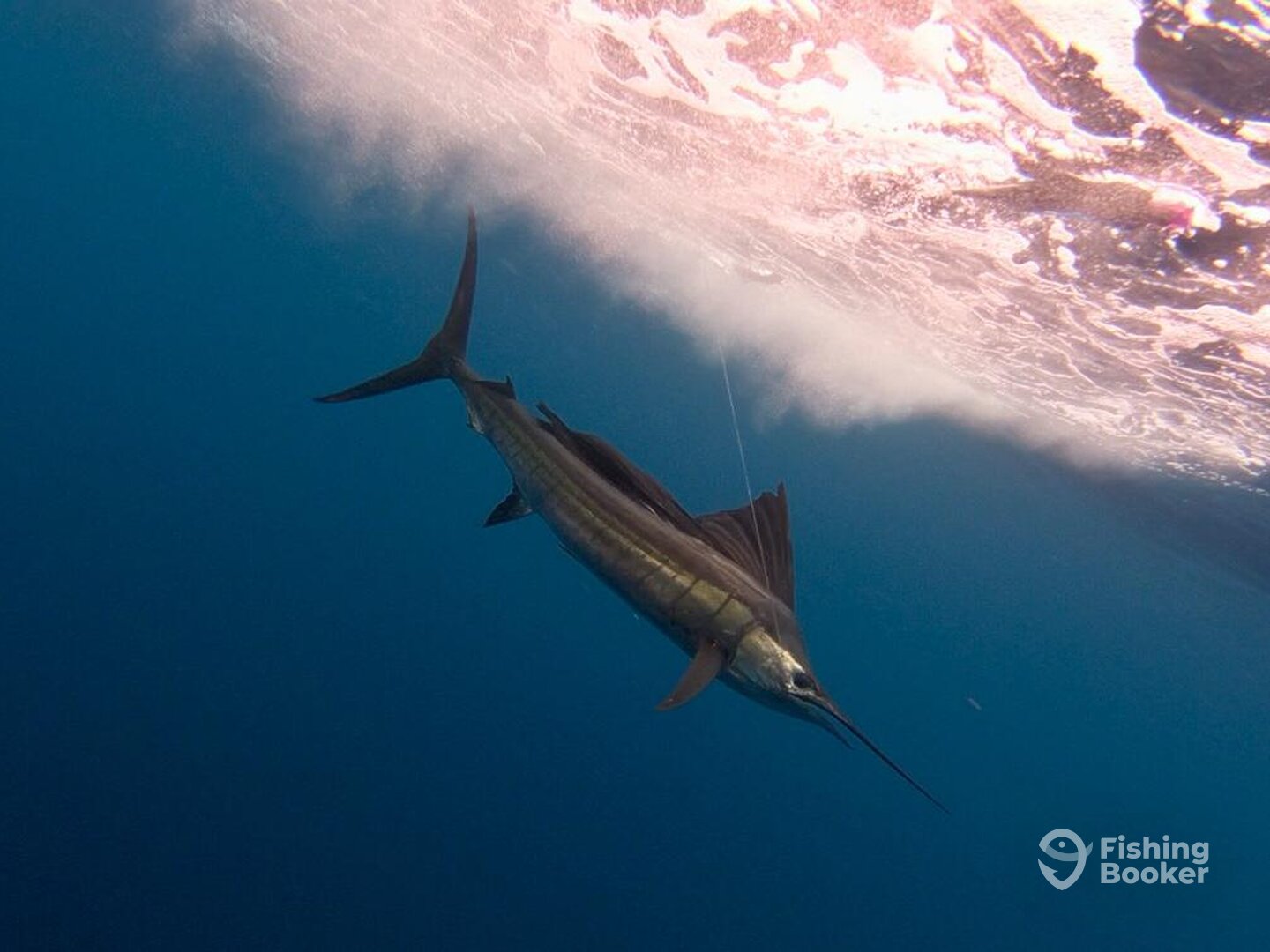 Quepos Report Photo 0