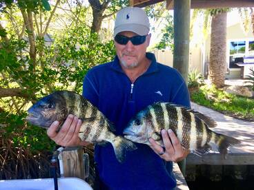 Sarasota Report Photo 2