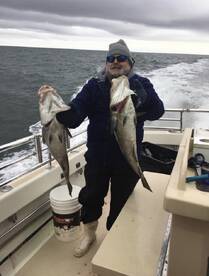 Montauk Report Photo 2