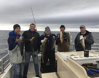 Montauk Report Photo 1