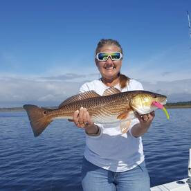 Perry Report Photo 1