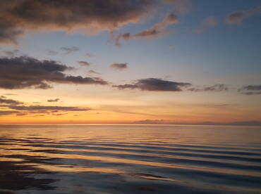 Roatan Report Photo 1