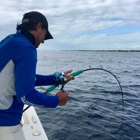 Puerto Aventuras Report Photo 1