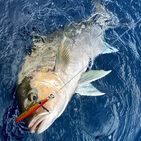 Puerto Aventuras Report Photo 2