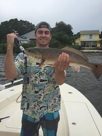 Sarasota Report Photo 2