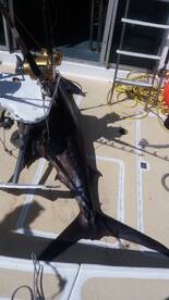 Grand Baie Report Photo 1