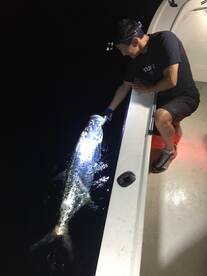 Miami Report Photo 2