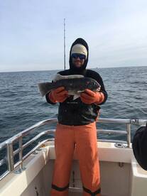 Montauk Report Photo 2