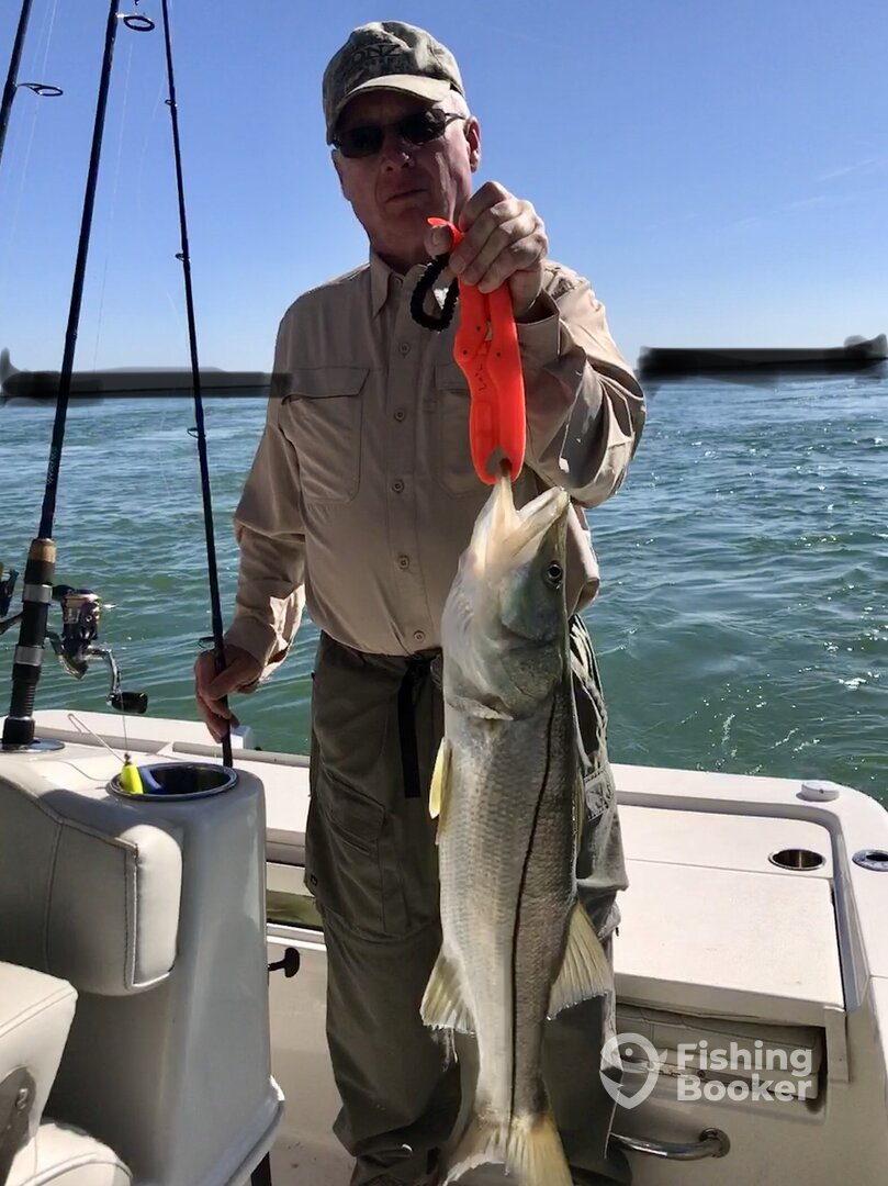 Clearwater Report Photo 0