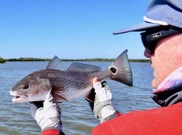 Orlando Report Photo 2