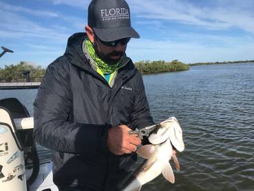 Orlando Report Photo 1