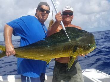 Nice Mahi
