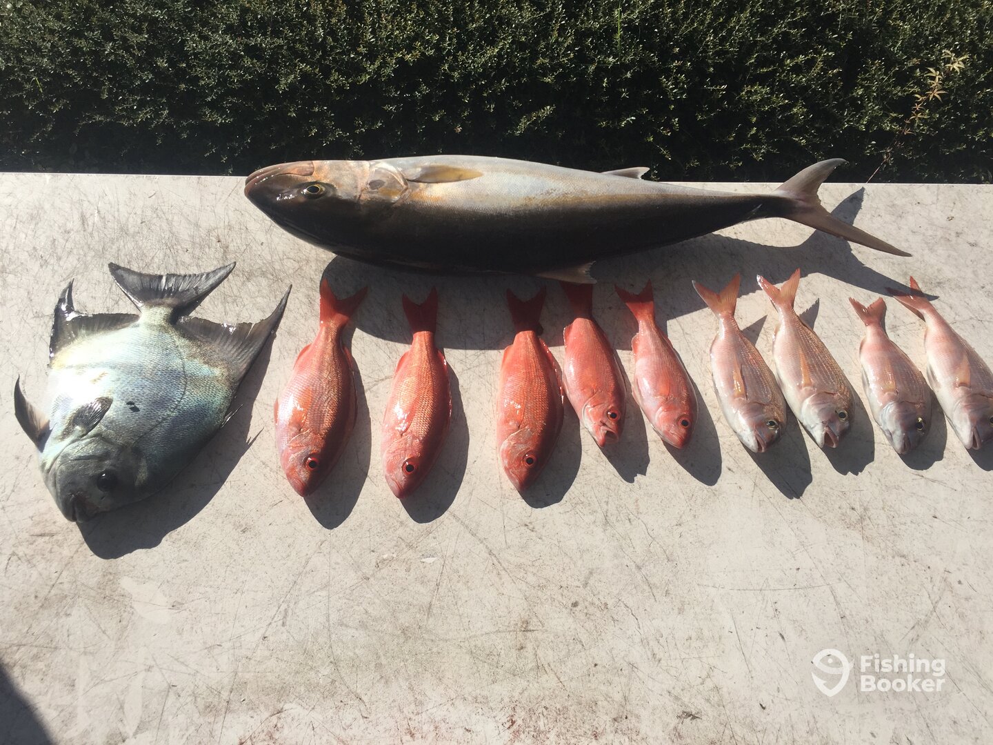 Pensacola Report Photo 0