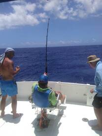 Blue Marlin release