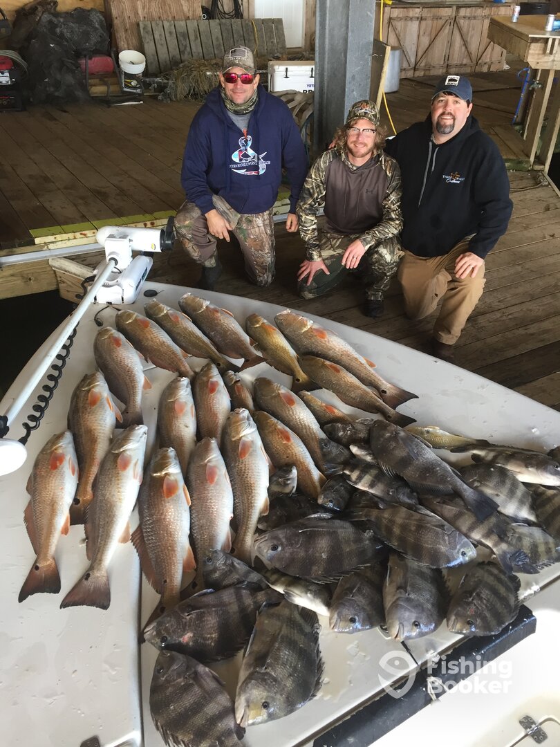 Venice Report Photo 0