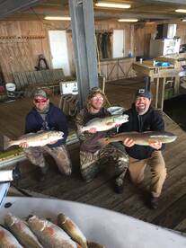 Venice Report Photo 1