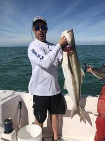 12/19 Monster Cobias