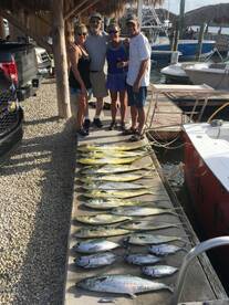 Hollywood Report Photo 2