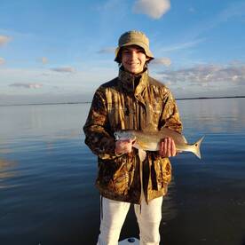 St. Bernard Report Photo 1