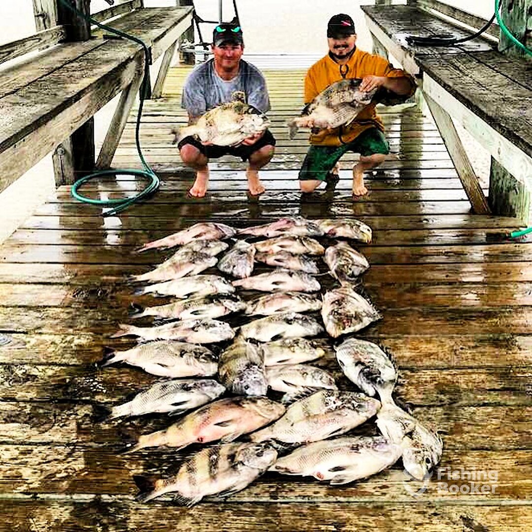 Ocean Springs Report Photo 0