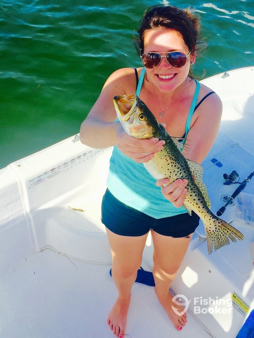 Punta Gorda Report Photo 0