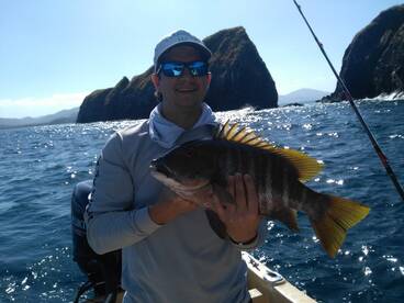 Playa Flamingo Report Photo 1