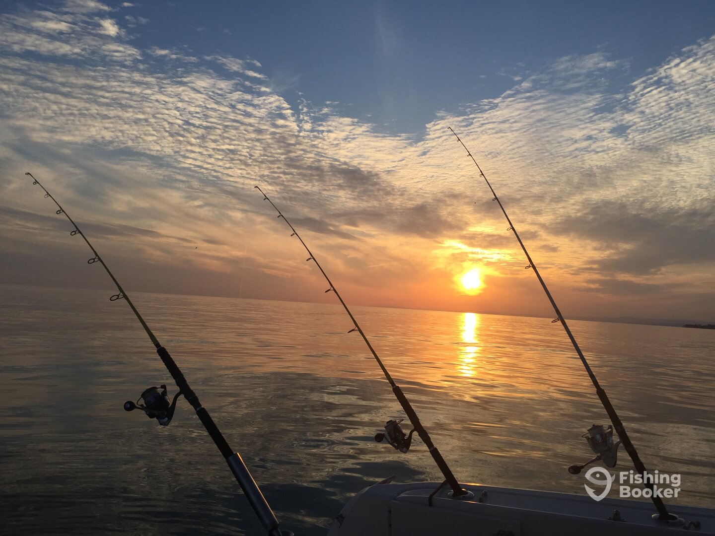 Marbella Report Photo 0