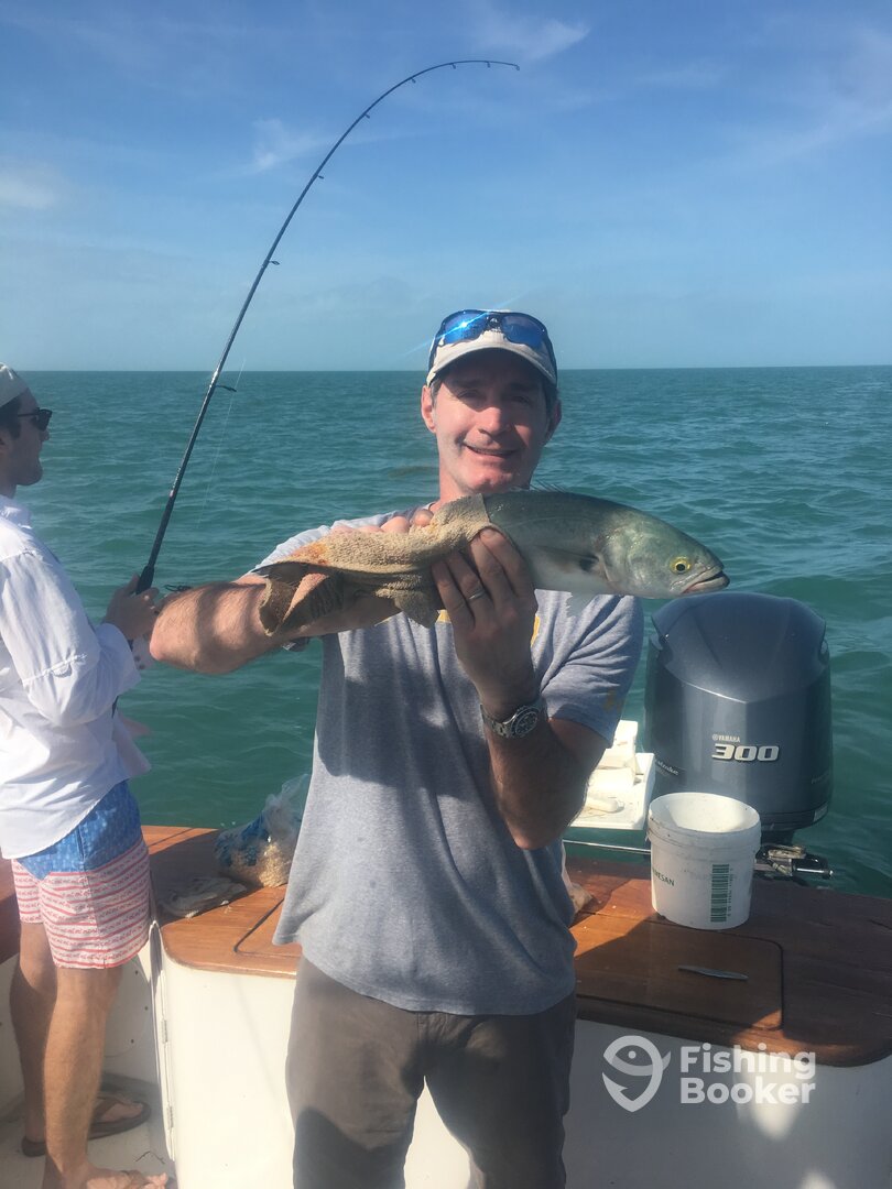 Marathon Report Photo 0