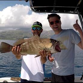 The burrow white grouper