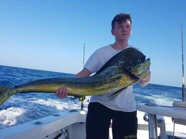 Dorado for Dinner