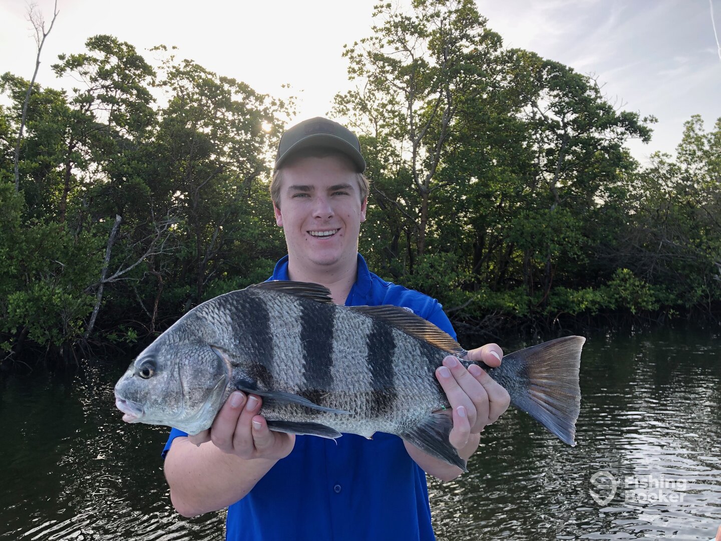 Naples Report Photo 0