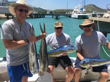 Puerto Plata Report Photo 2