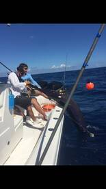 battle with the gladiators of the sea!