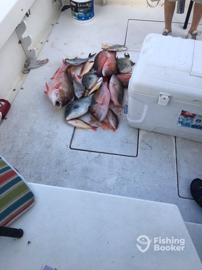 Fort Pierce Report Photo 0