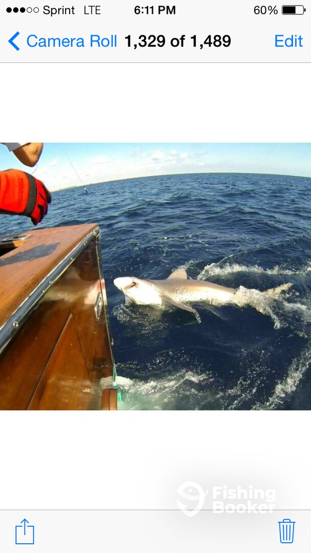 Pompano Beach Report Photo 0